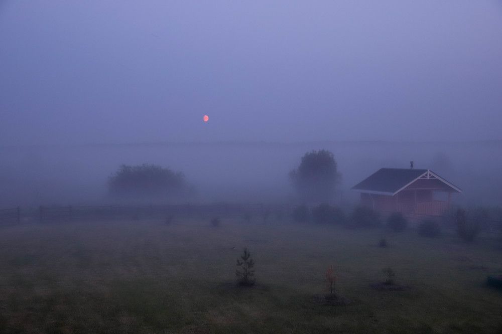 Photograph by Александр Трифанов