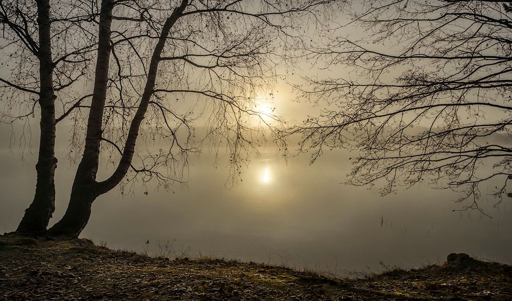 Photograph by Валерий Анисимов