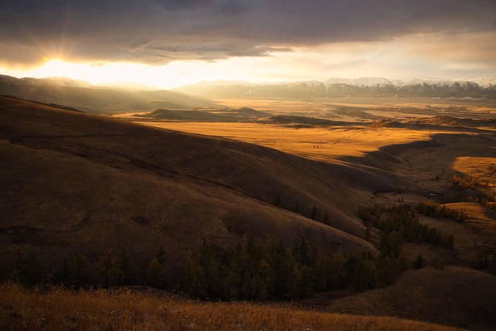 Photograph by Олег Гуляков