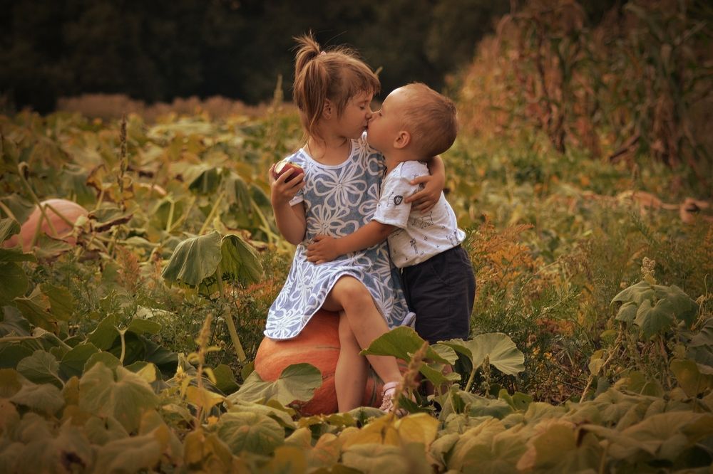 Робкое примирение