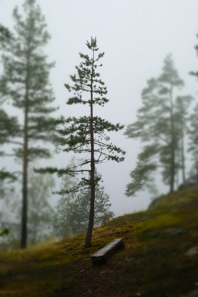 Photograph by Надежда Яговкина