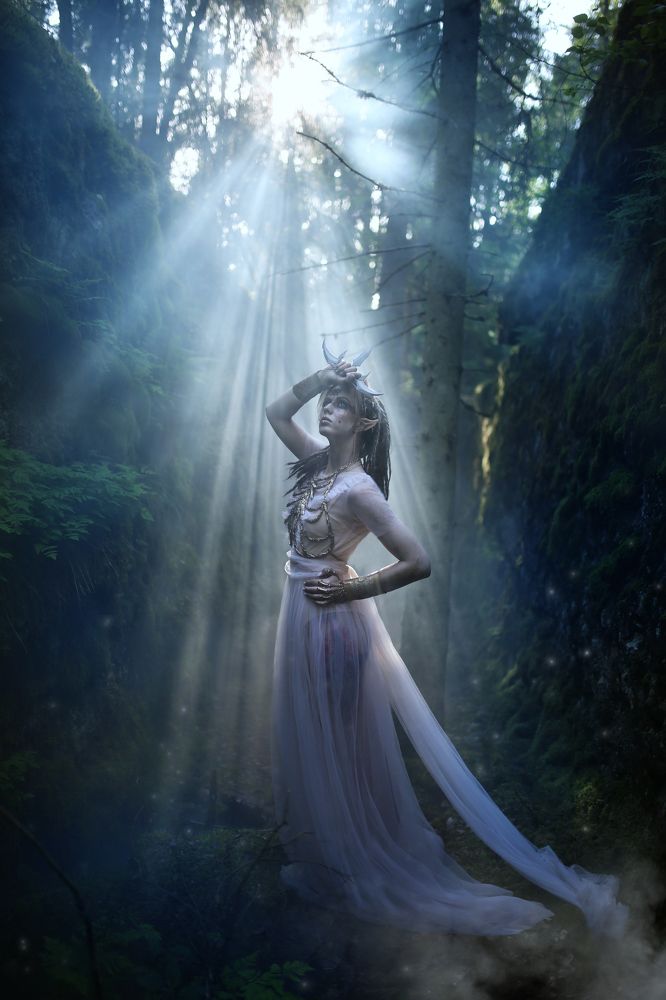 Photograph by 