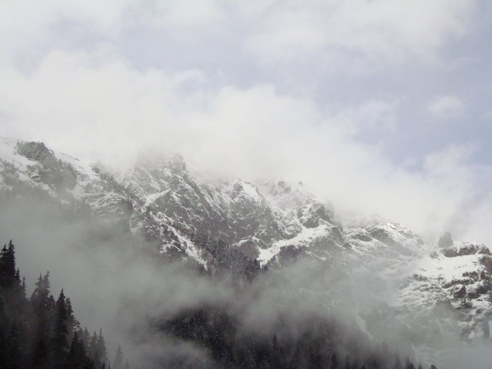Photo #6802818