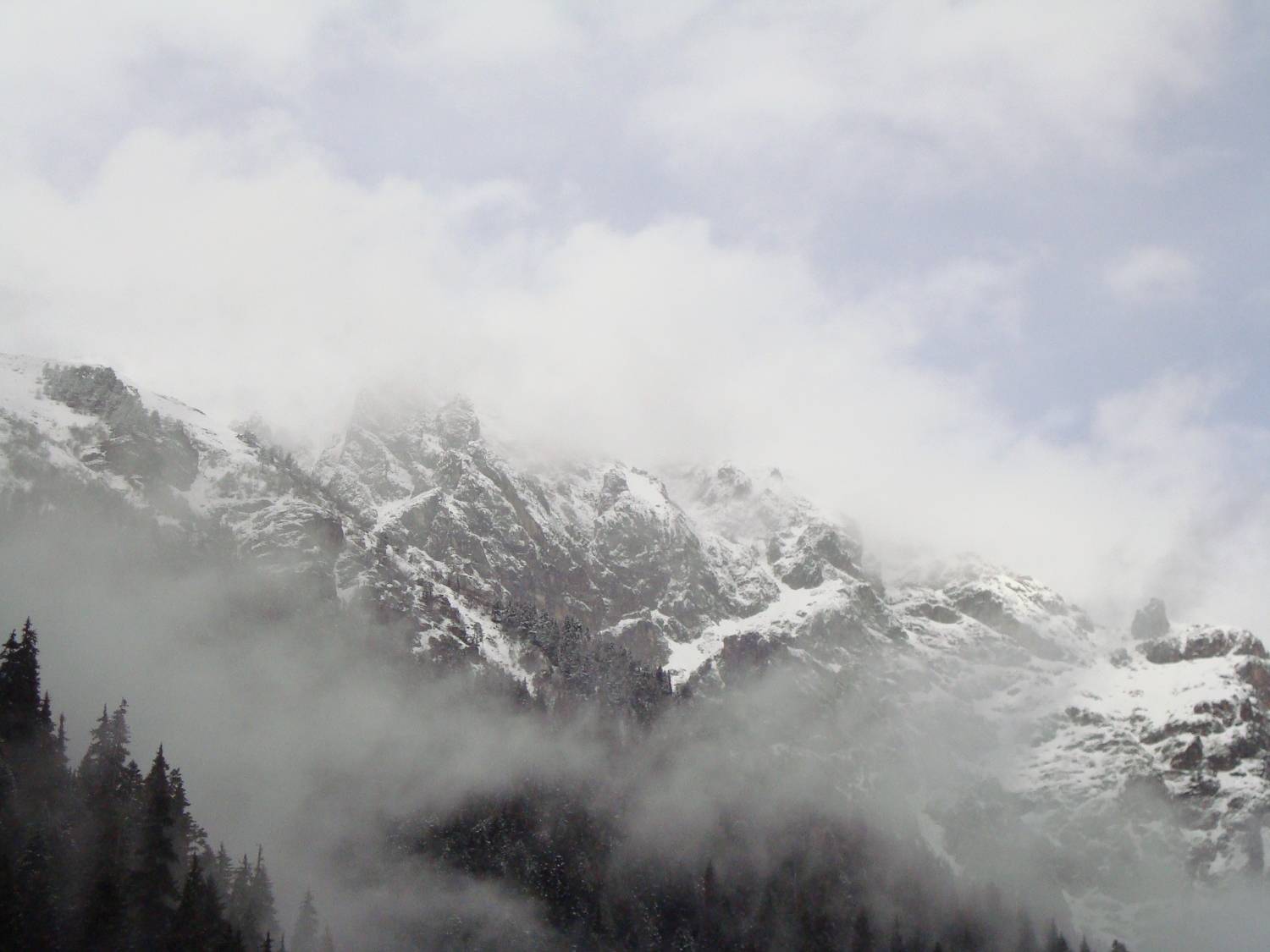 Photo #6802818