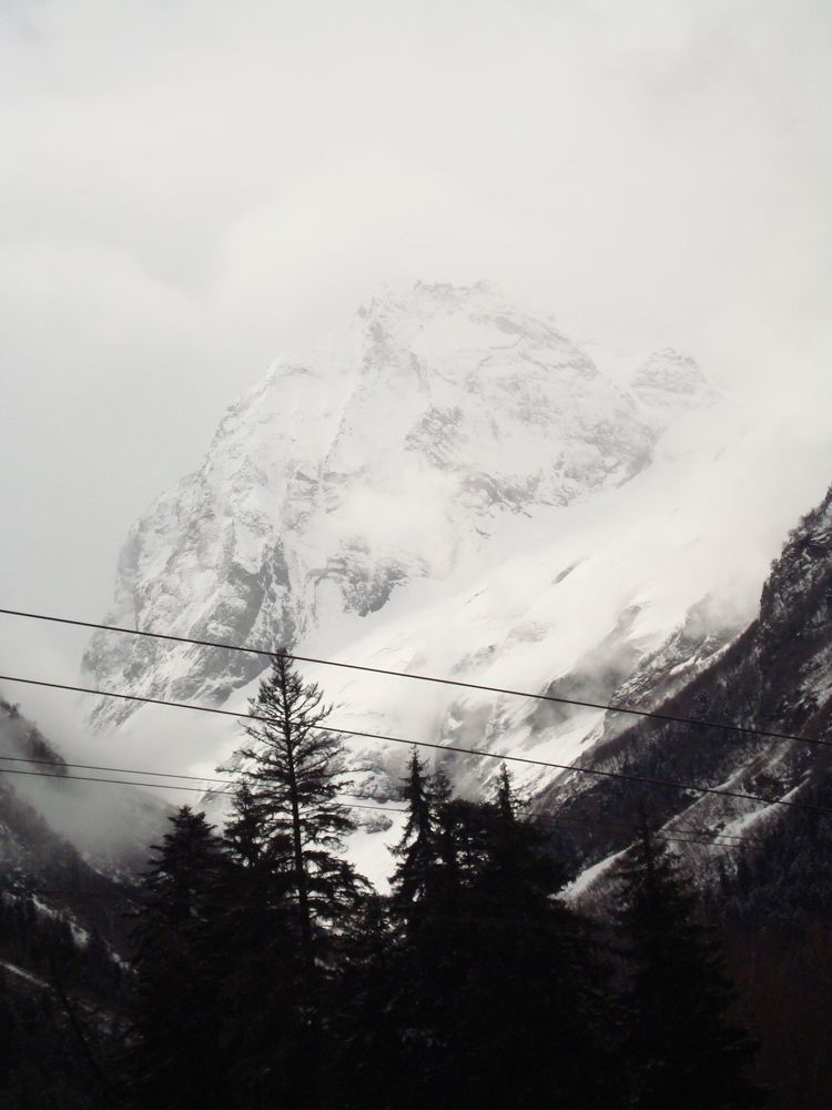 Photo #6802826