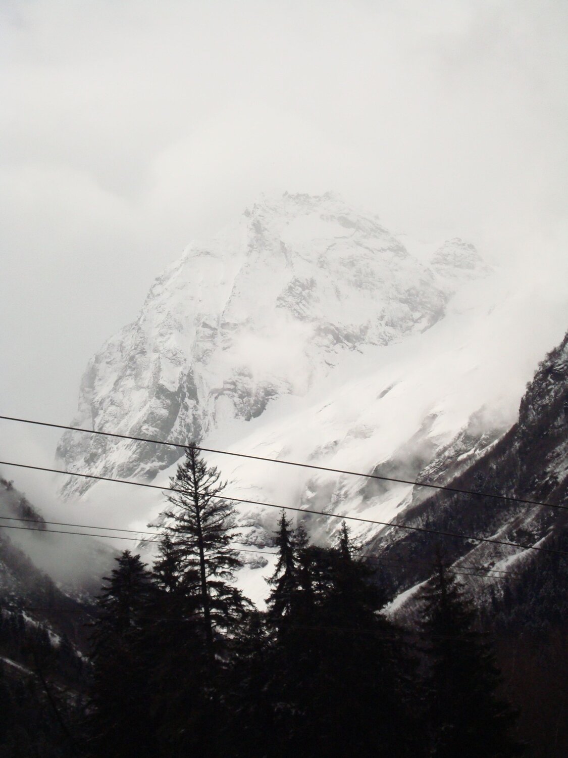 Photo #6802826