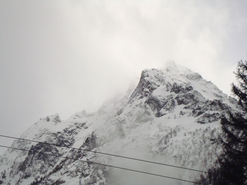 Photo #6802866