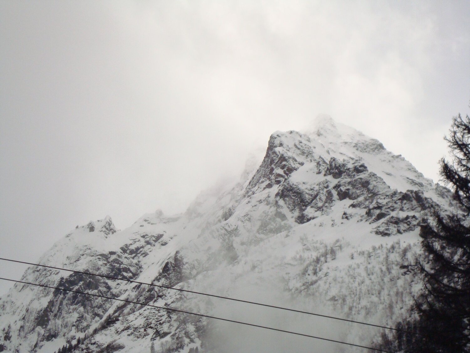 Photo #6802866