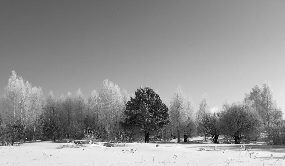 Photograph by Ксюша