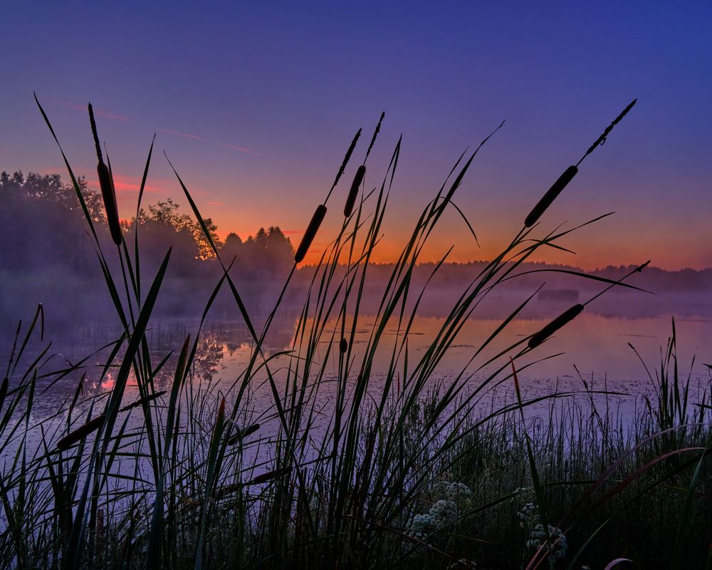 Photograph by Михаил Бронников