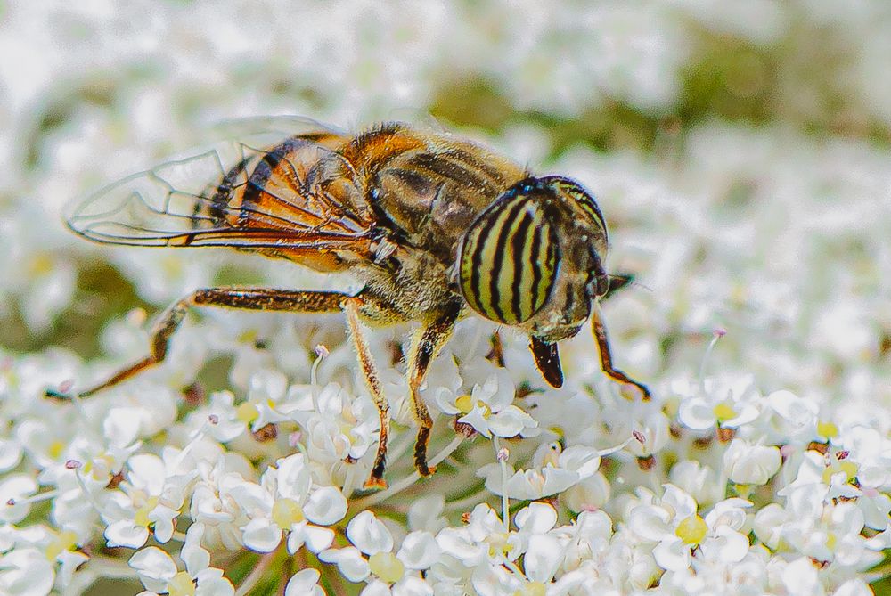 Photograph by Tatyana Klimenko