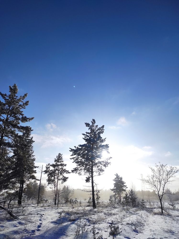 Photograph by Светлана Шибаршина