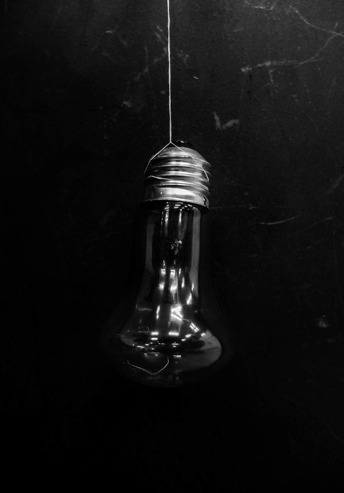 Photo #6803005