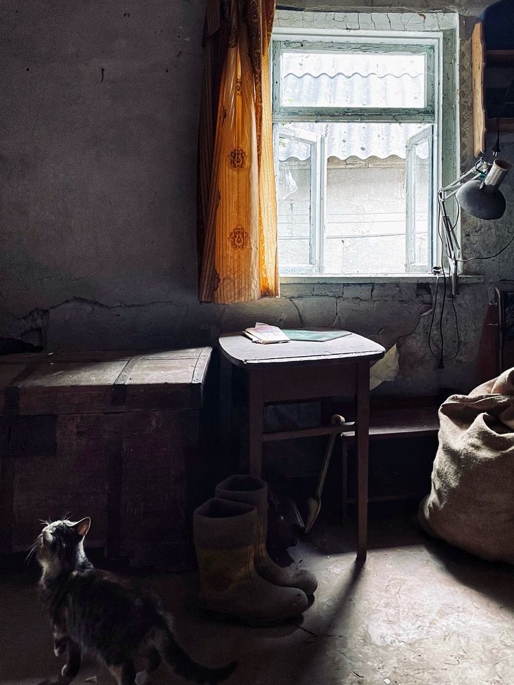 Photograph by Марина Тверитнева