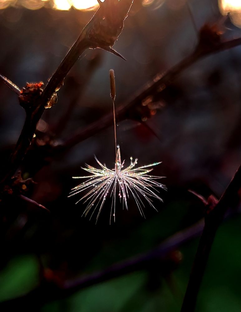 Photograph by Инна Макарчук