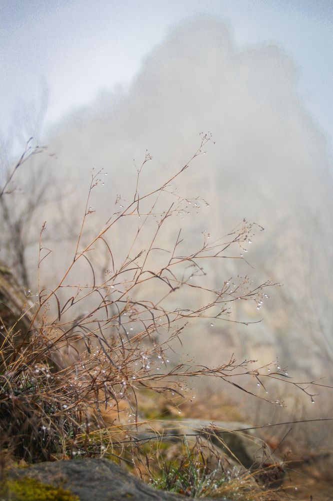 Фотография автора OXANA MARSOVA