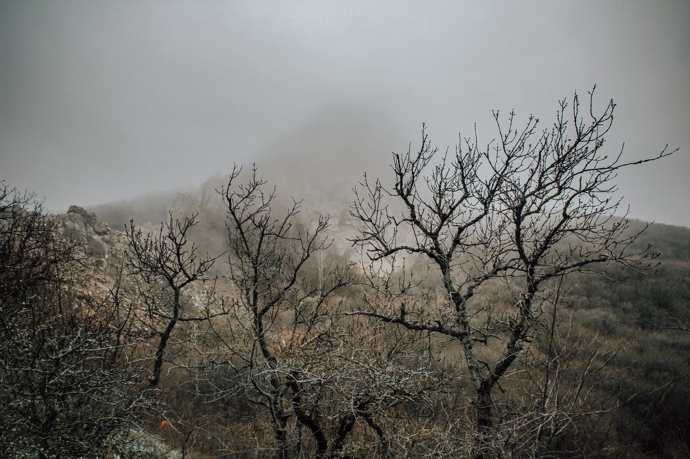 Фотография автора OXANA MARSOVA