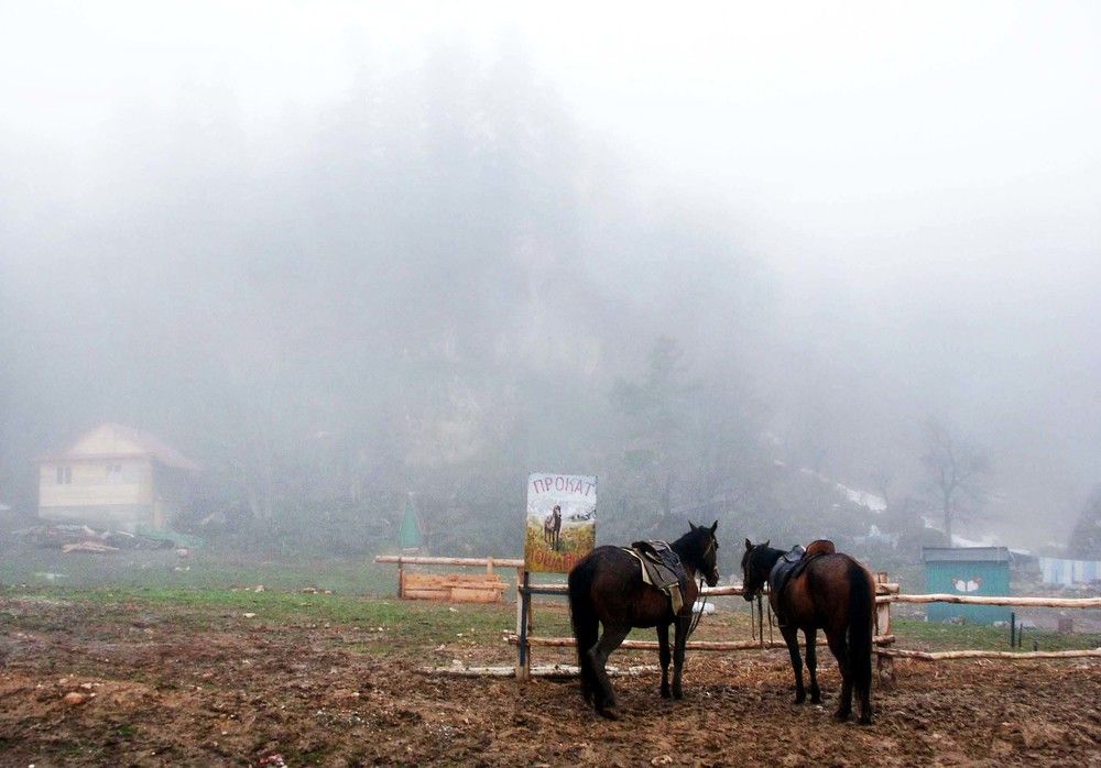 Photo #6803085