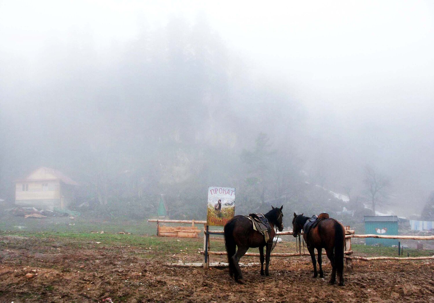 Photo #6803085