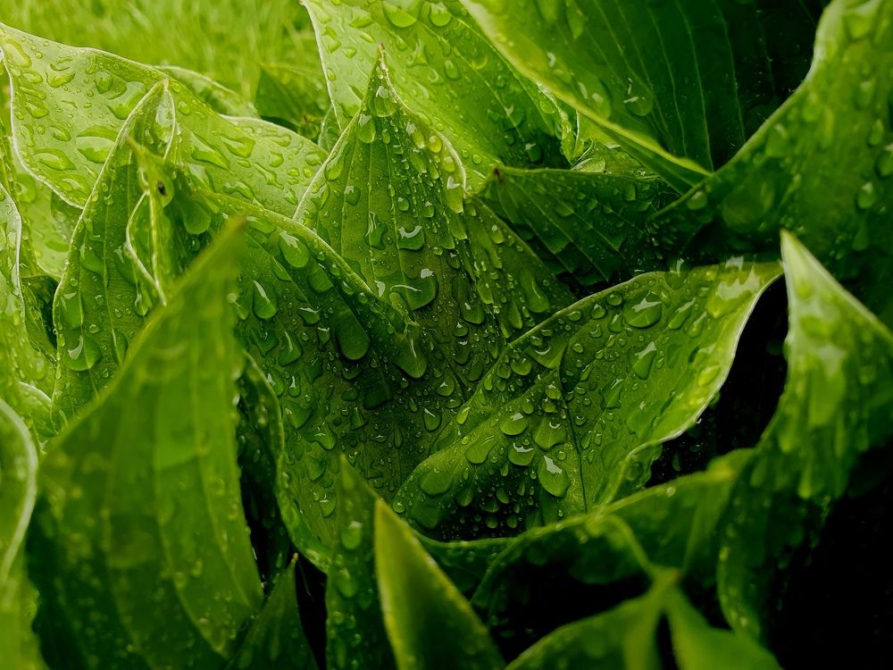 Фотография автора Наталія Савка