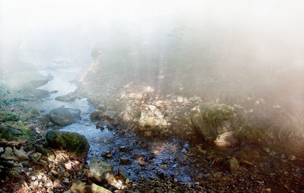 Photo #6803137