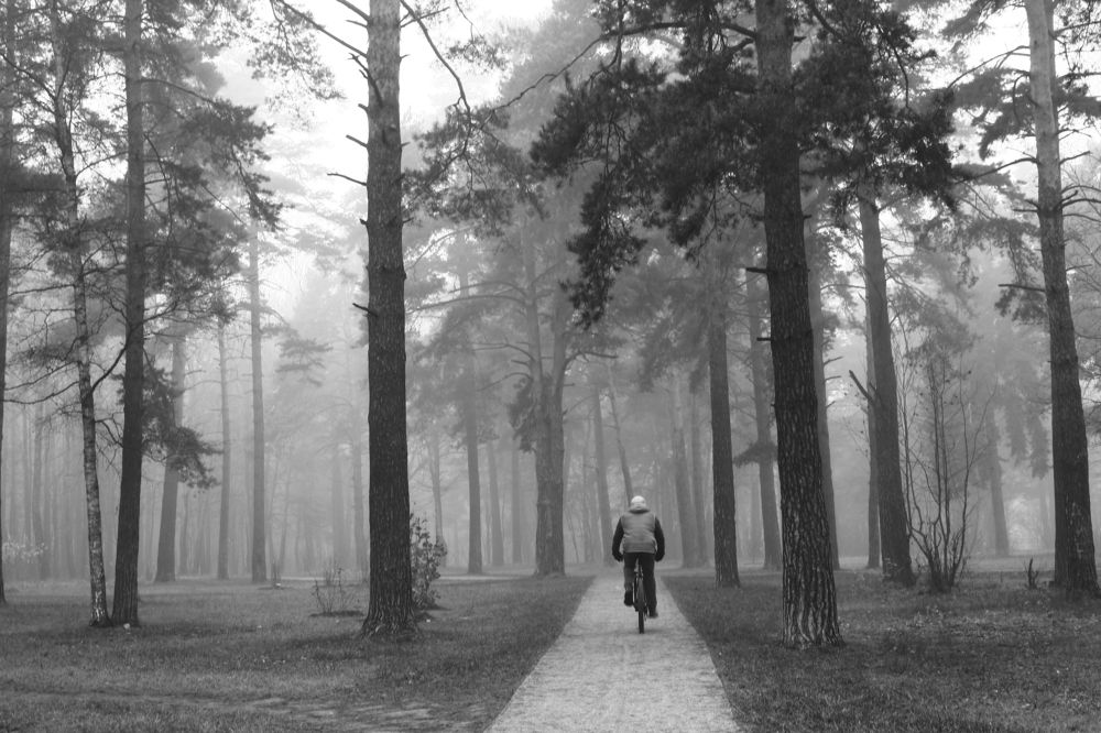 Photograph by Юлия Алпатова
