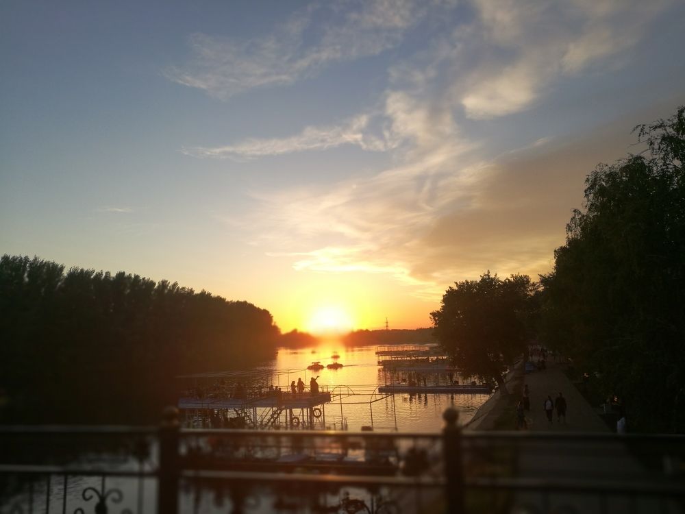 Photo #6803340