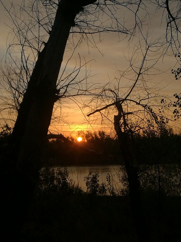 Photo #6803354