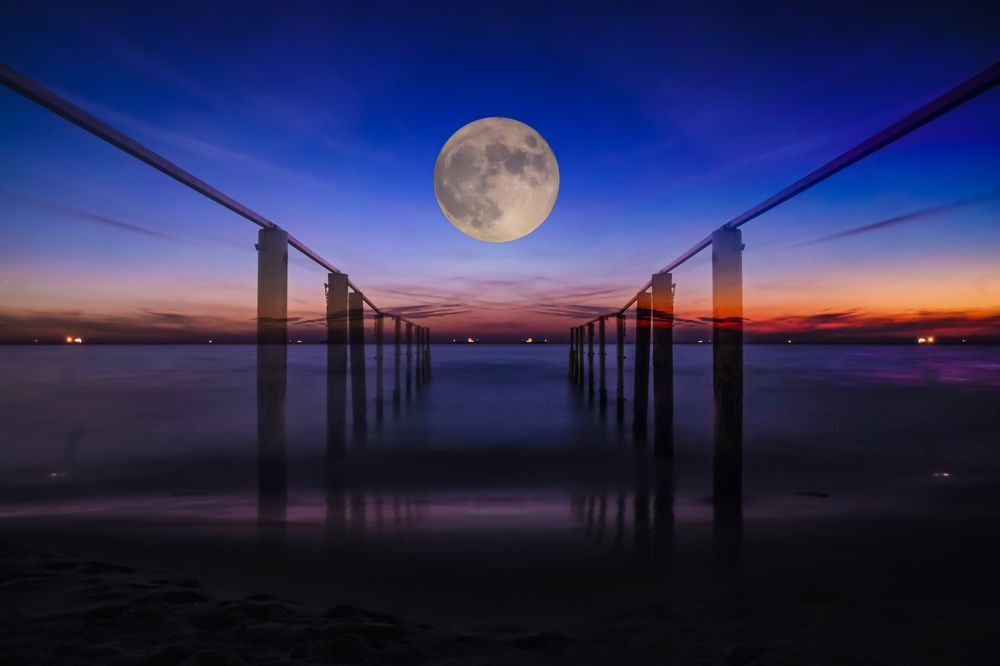 Photograph by Gotcha Biniashvili