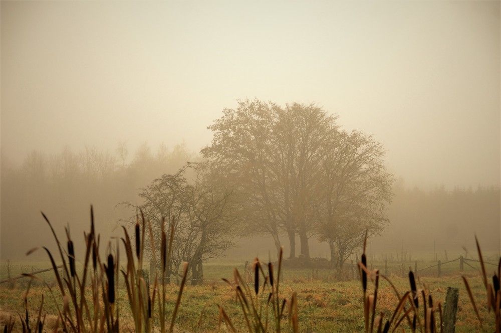 Photograph by Светлана Минаева