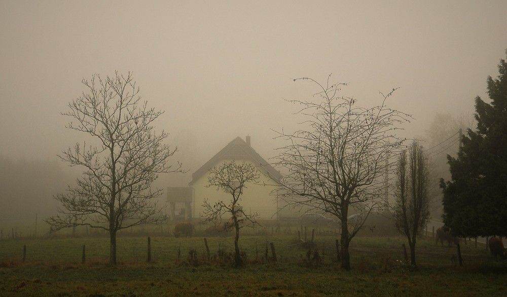 Photograph by Светлана Минаева
