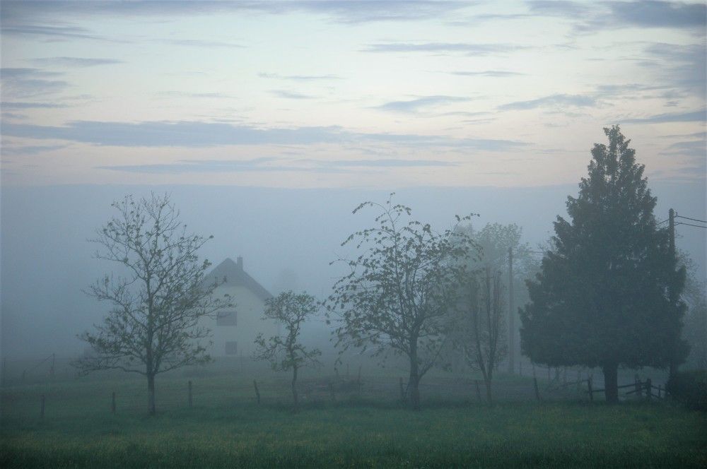 Photo #6803487