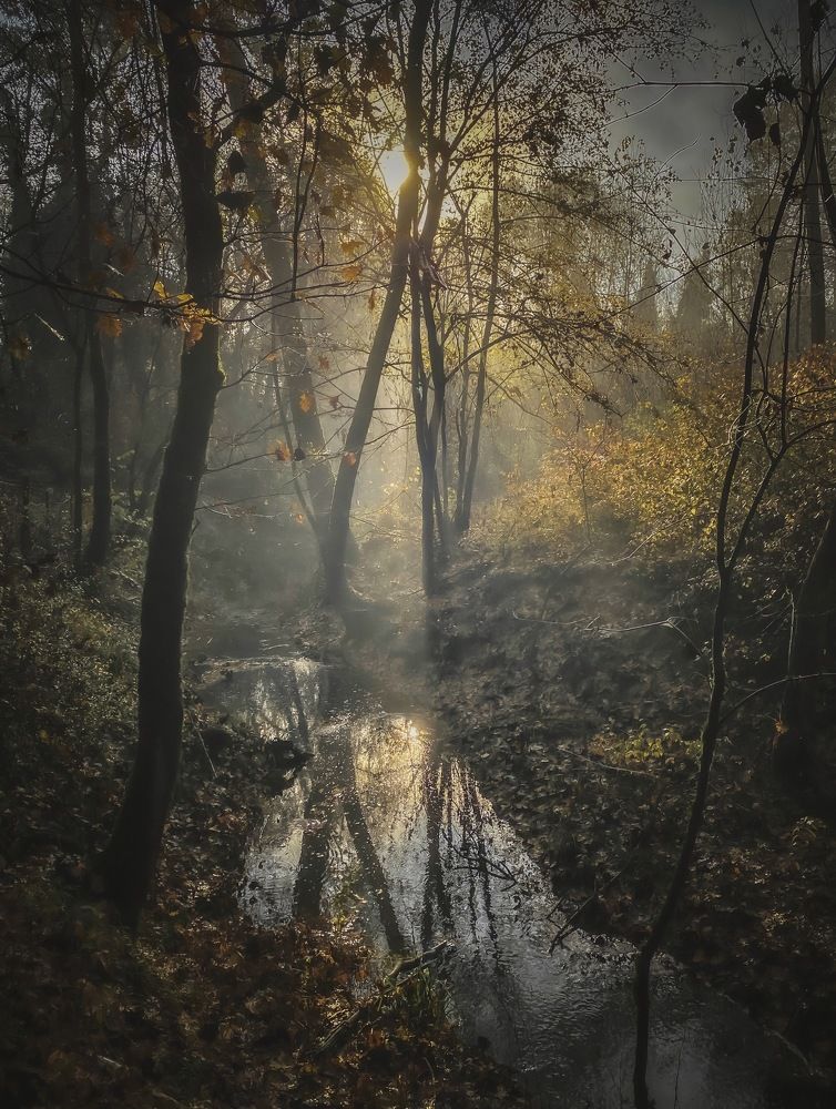 Photograph by Nebojsa Kavaric