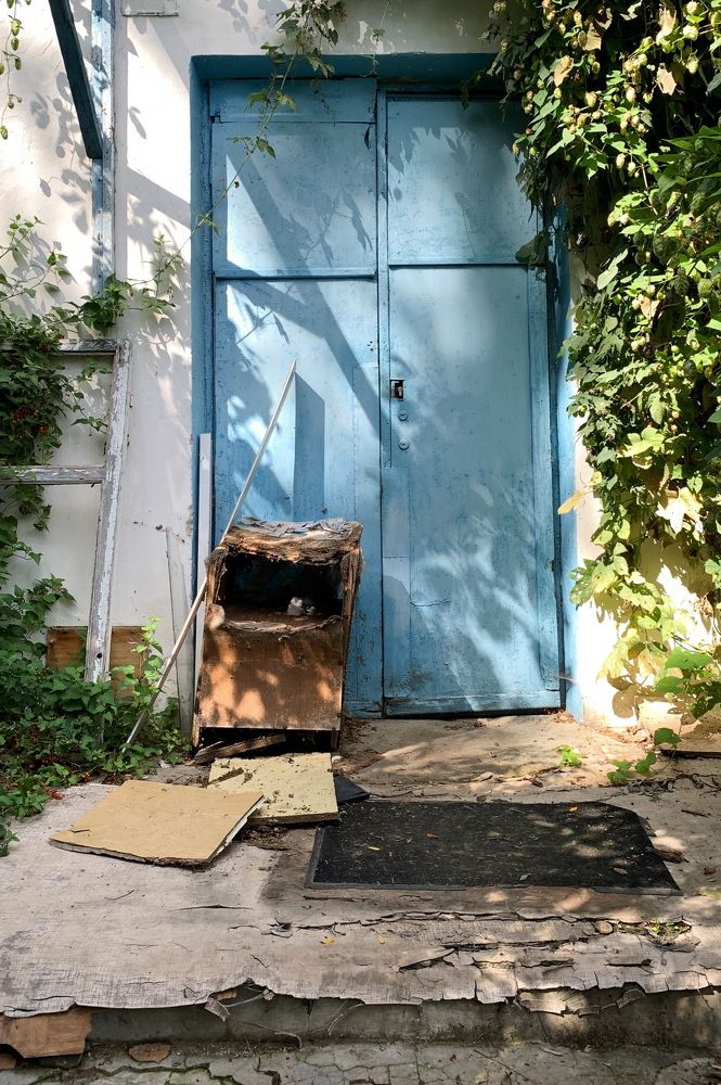 Photograph by Andrey Loptev