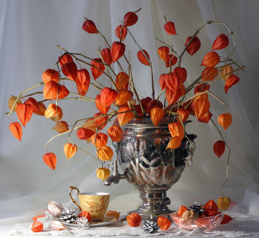 Photograph by Ольга Заболотская