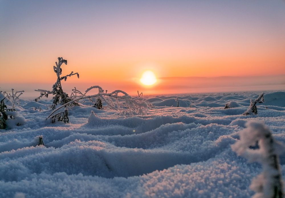 Photograph by Reinhold Seibel