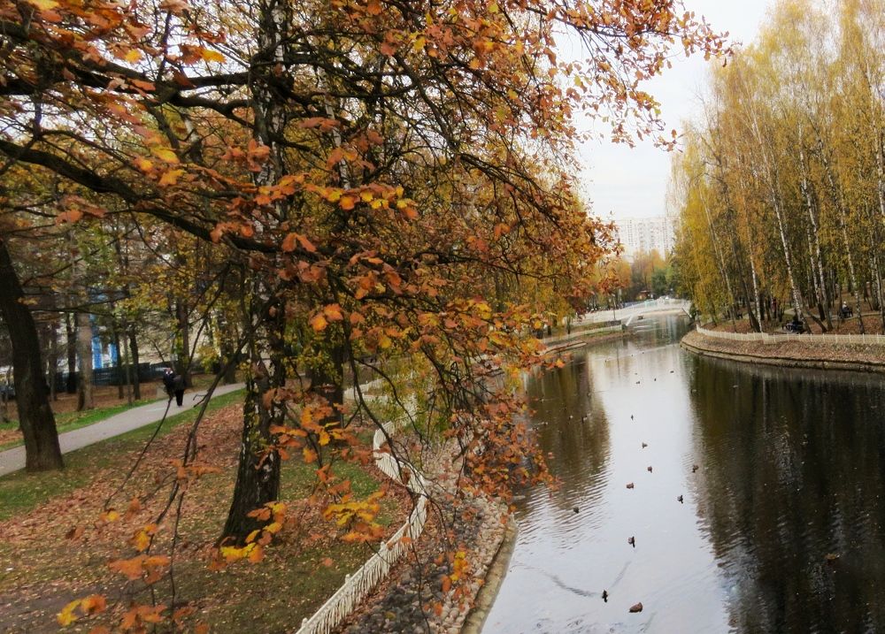 Photograph by Светлана