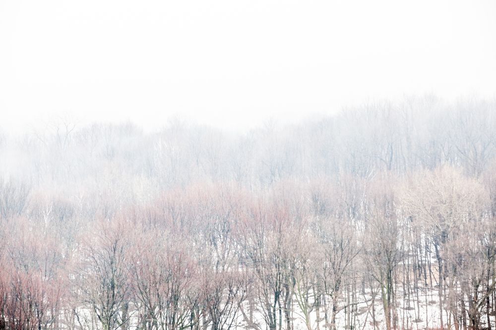 Photograph by Jack Bespalov