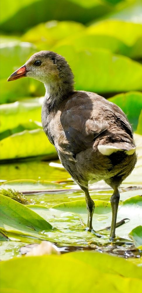 Photograph by Reinhold Seibel