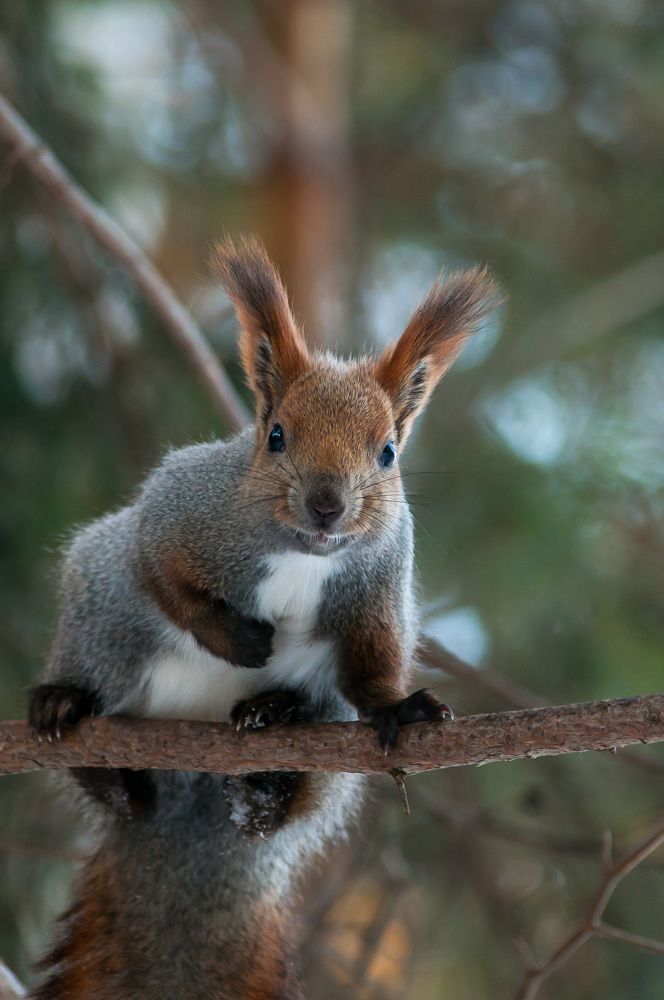 Photograph by Вадим Басов