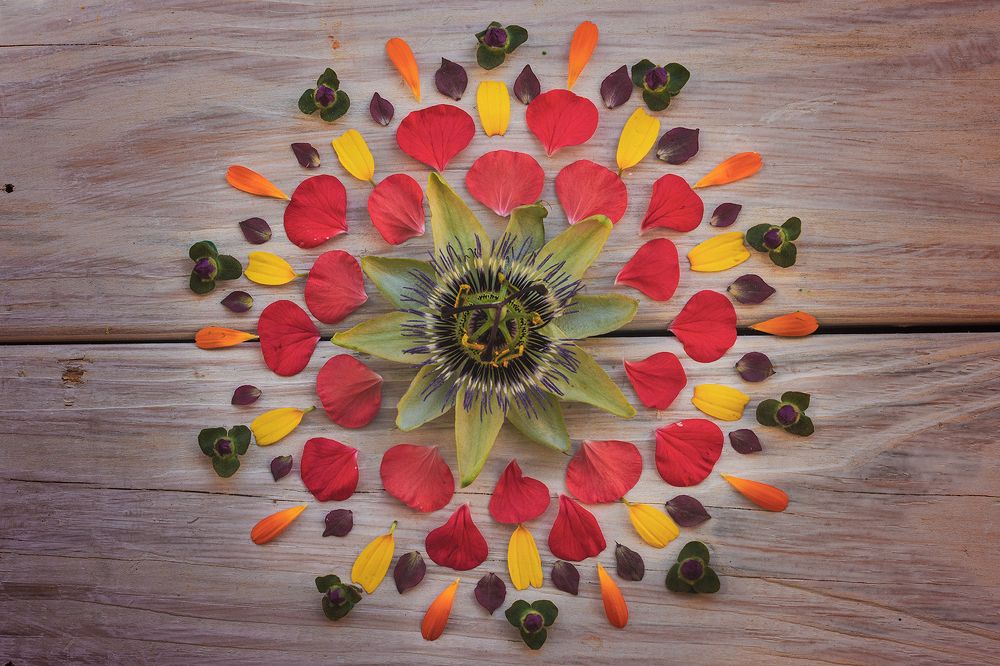 Photograph by Yenicet Reyes