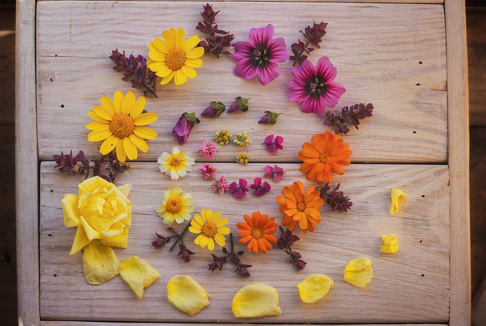 Photograph by Yenicet Reyes