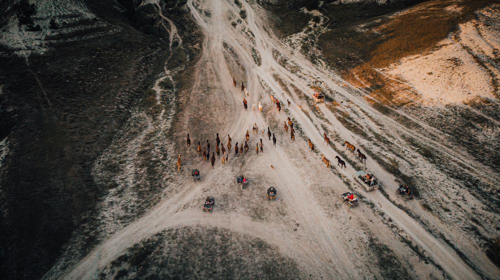 Photograph by Богдан Золкин