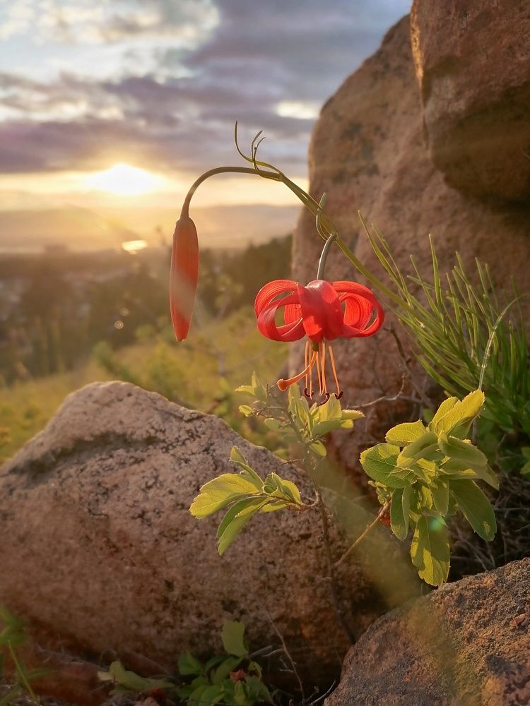 Photograph by Светлана