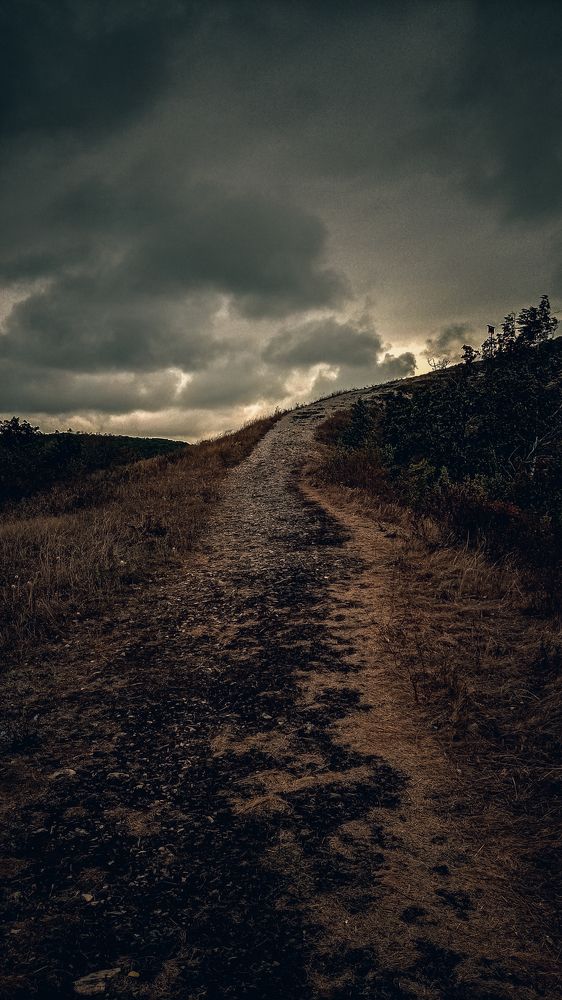 Photograph by Дмитрий Кашиков