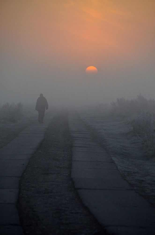 Photograph by Андрей Антипатров