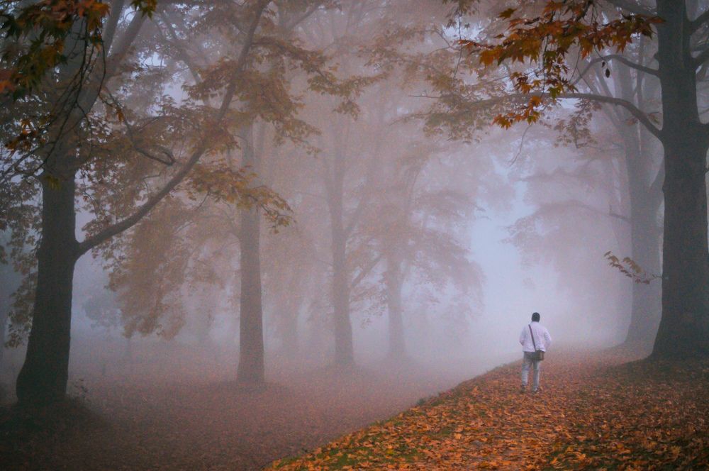 Photograph by Amir Bhat