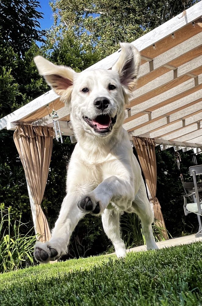 Photograph by Stephanie E’amato