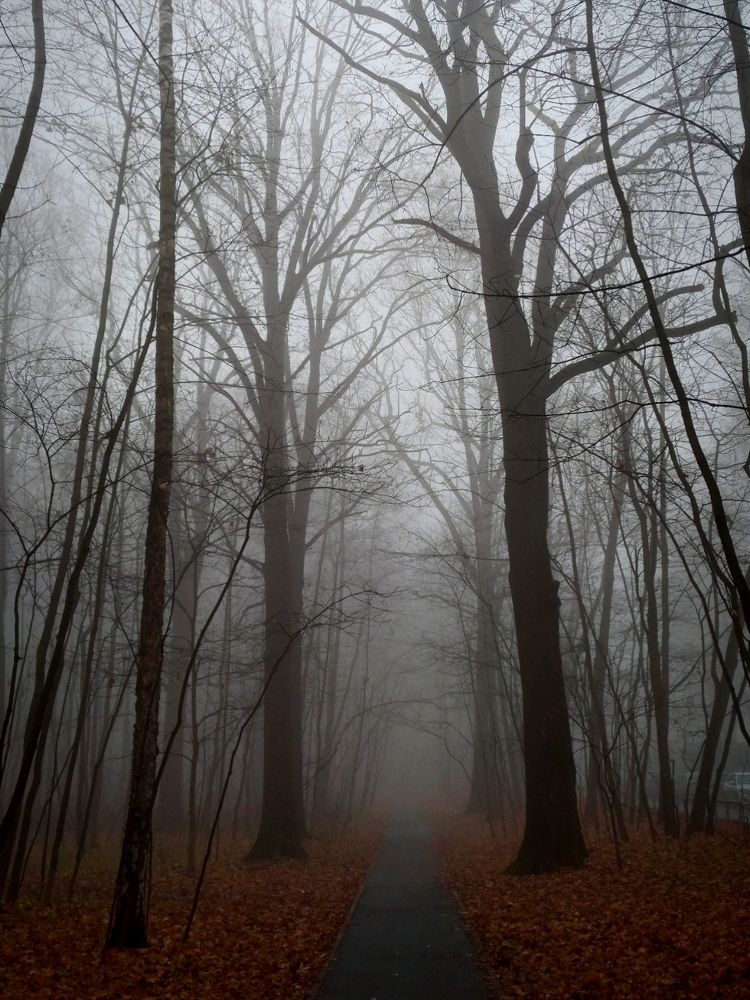 Photograph by Eлена Смирнова