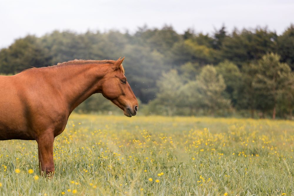 Photograph by Андрей Щербинин